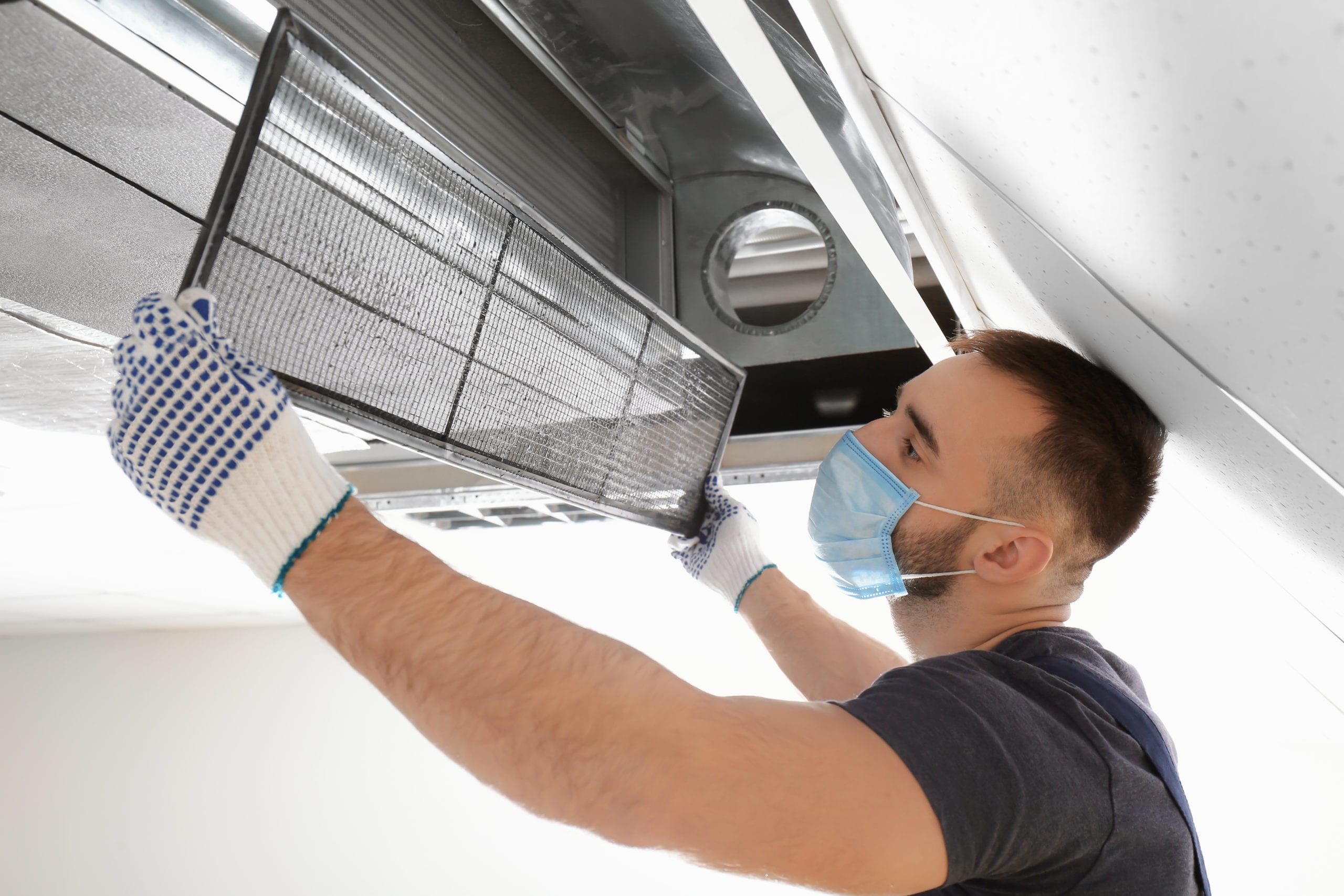 Can an Air Duct Cleaner in Murfreesboro TN Stop Microscopic Pests from Nesting in Vents
