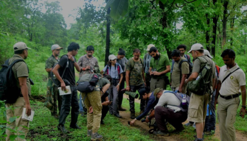 Forest Van Vibhag Vacancy: A Practical Guide to Securing a Sarkari Job in the Forest Department